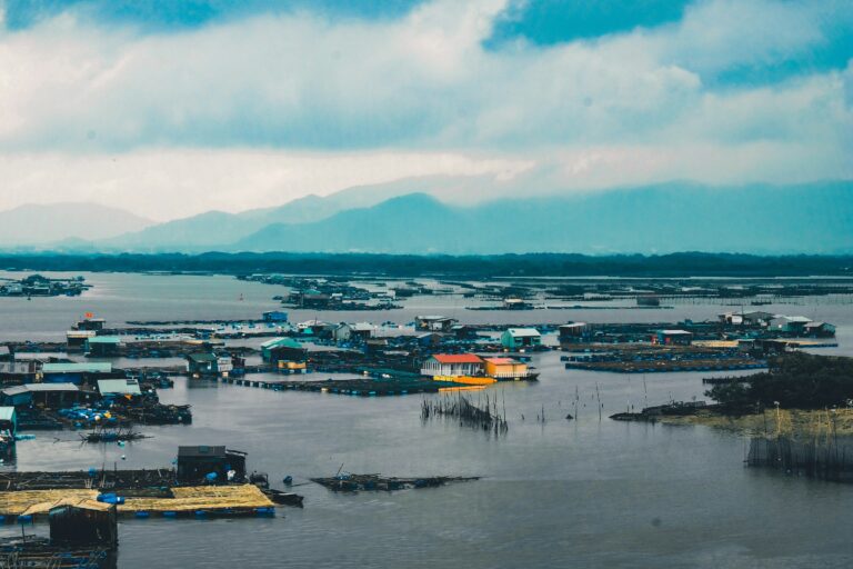 nguyen-kiet-OGp18qMyq-k-unsplash