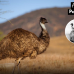 Polish_20260416_090515637