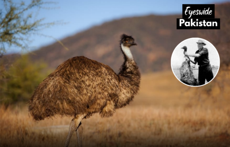 Polish_20260416_090515637