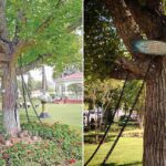 Polish_20260418_035237244