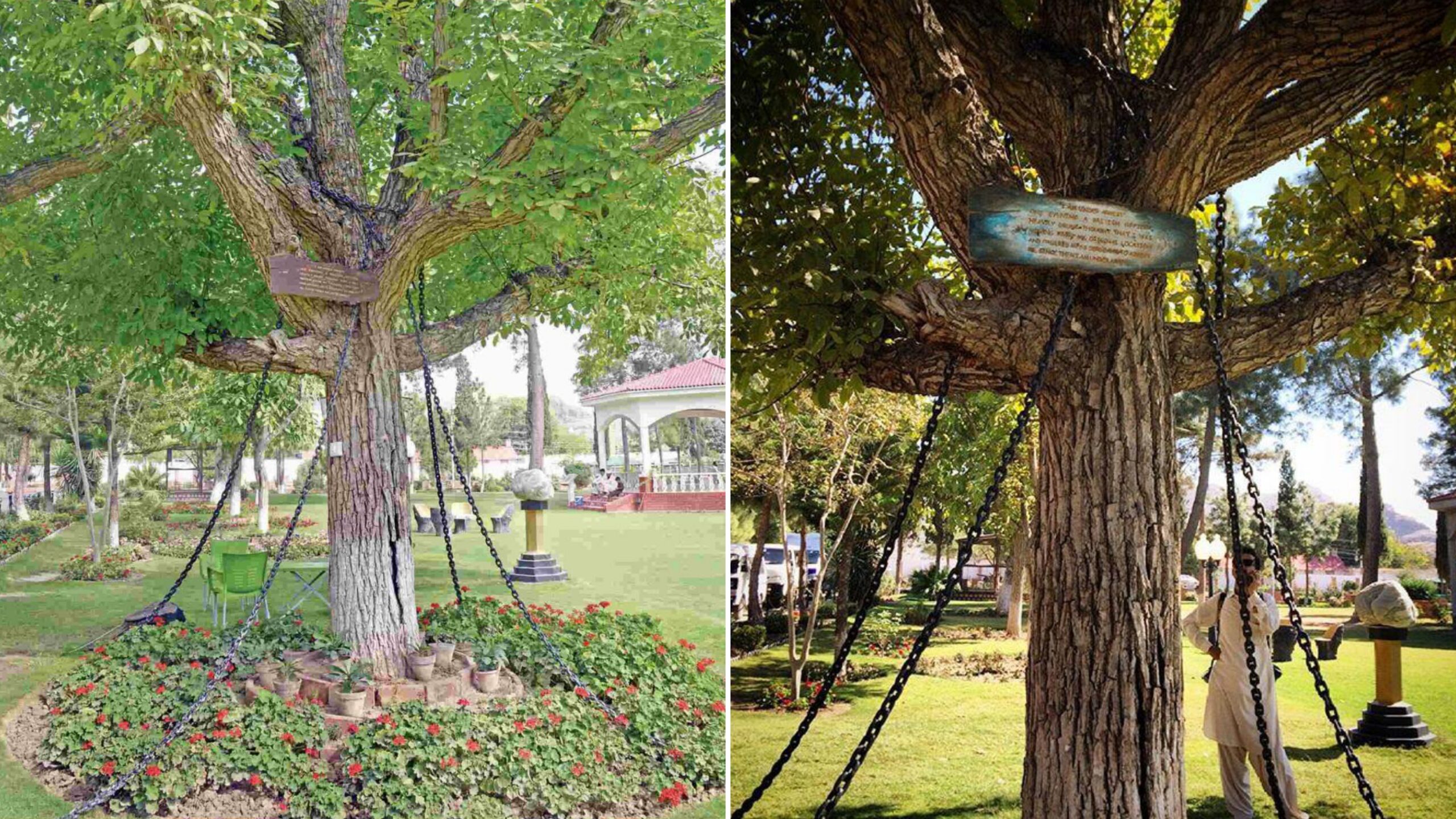 Polish_20260418_035237244