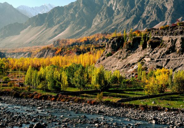 pexels-wasifmehmood997-15817299