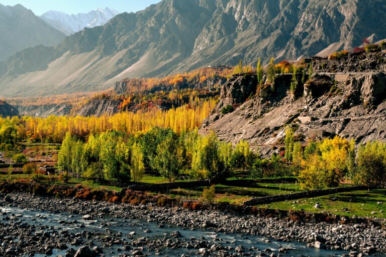 pexels-wasifmehmood997-15817299