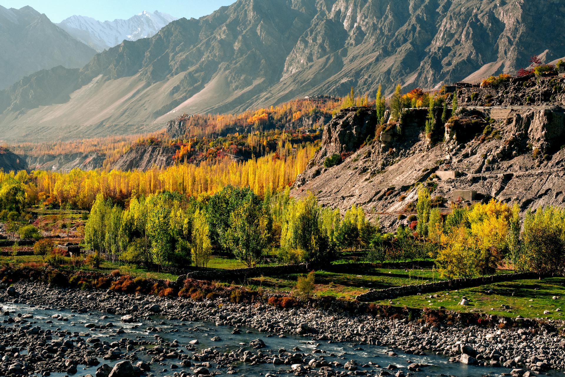 pexels-wasifmehmood997-15817299